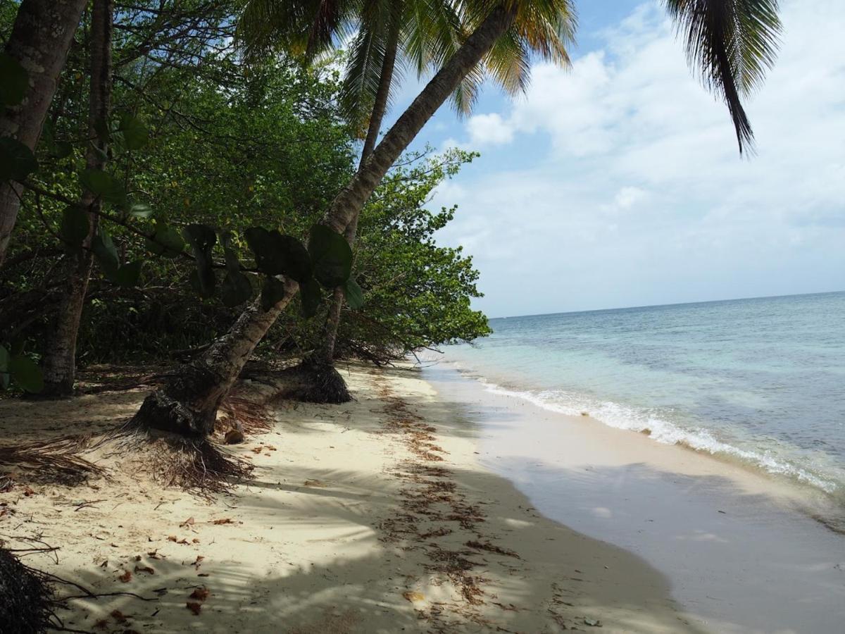 Kaz'Detente, Marie Galante, Plage Kawann Grand-Bourg  Exterior photo
